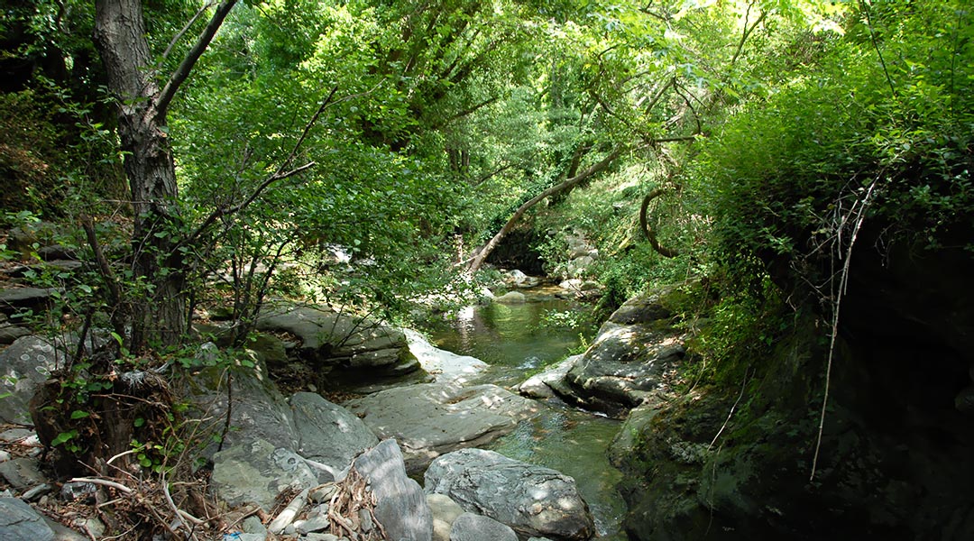 Action and Adventure in Andros Greece