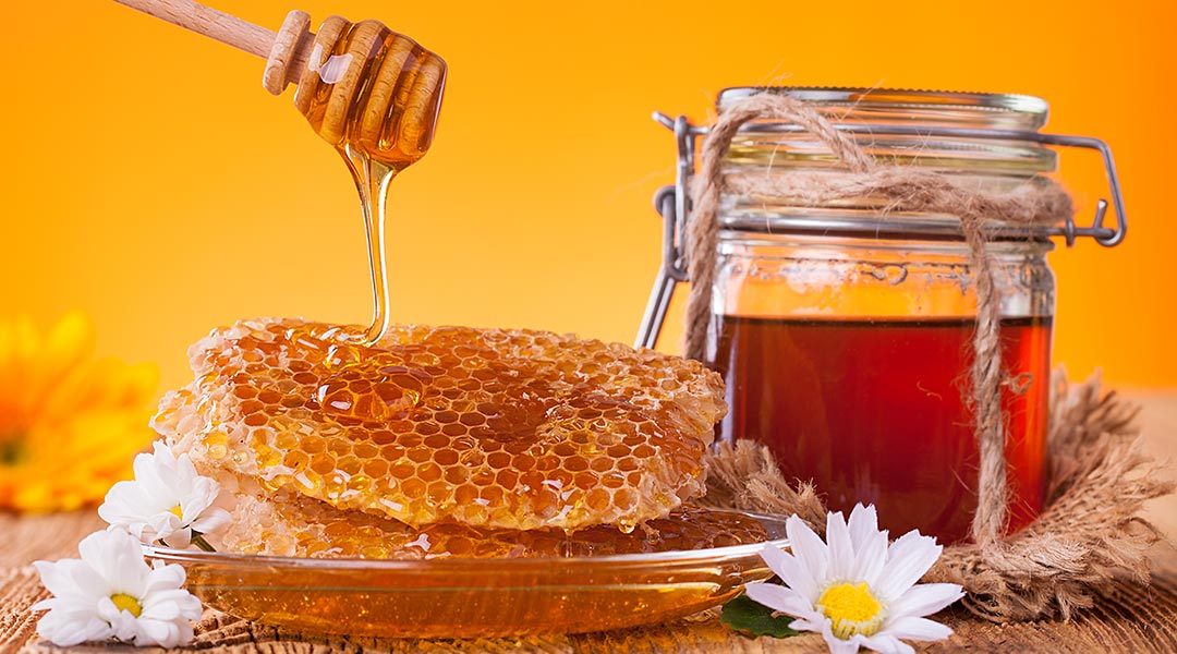 Greek Honey from Andros island Greece
